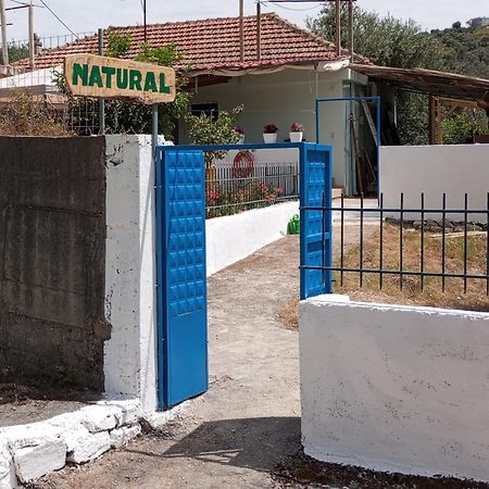 Natural Hostel Himarë Exterior foto